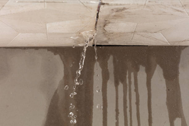 Professional Sewage Cleanup technician working in Jackson, MI